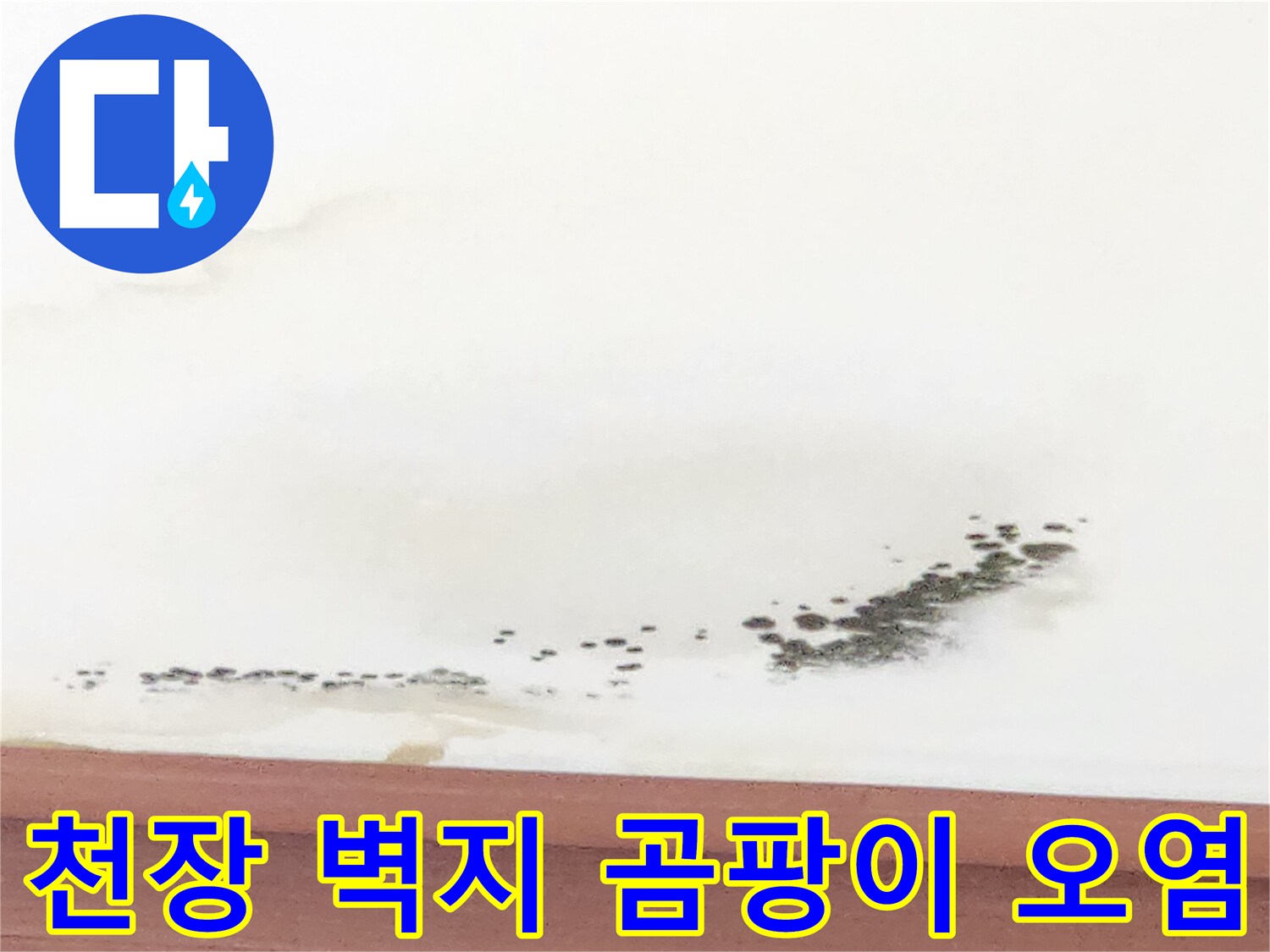 벽지 경계면을 따라 번진 검은색 곰팡이와 습기 흔적