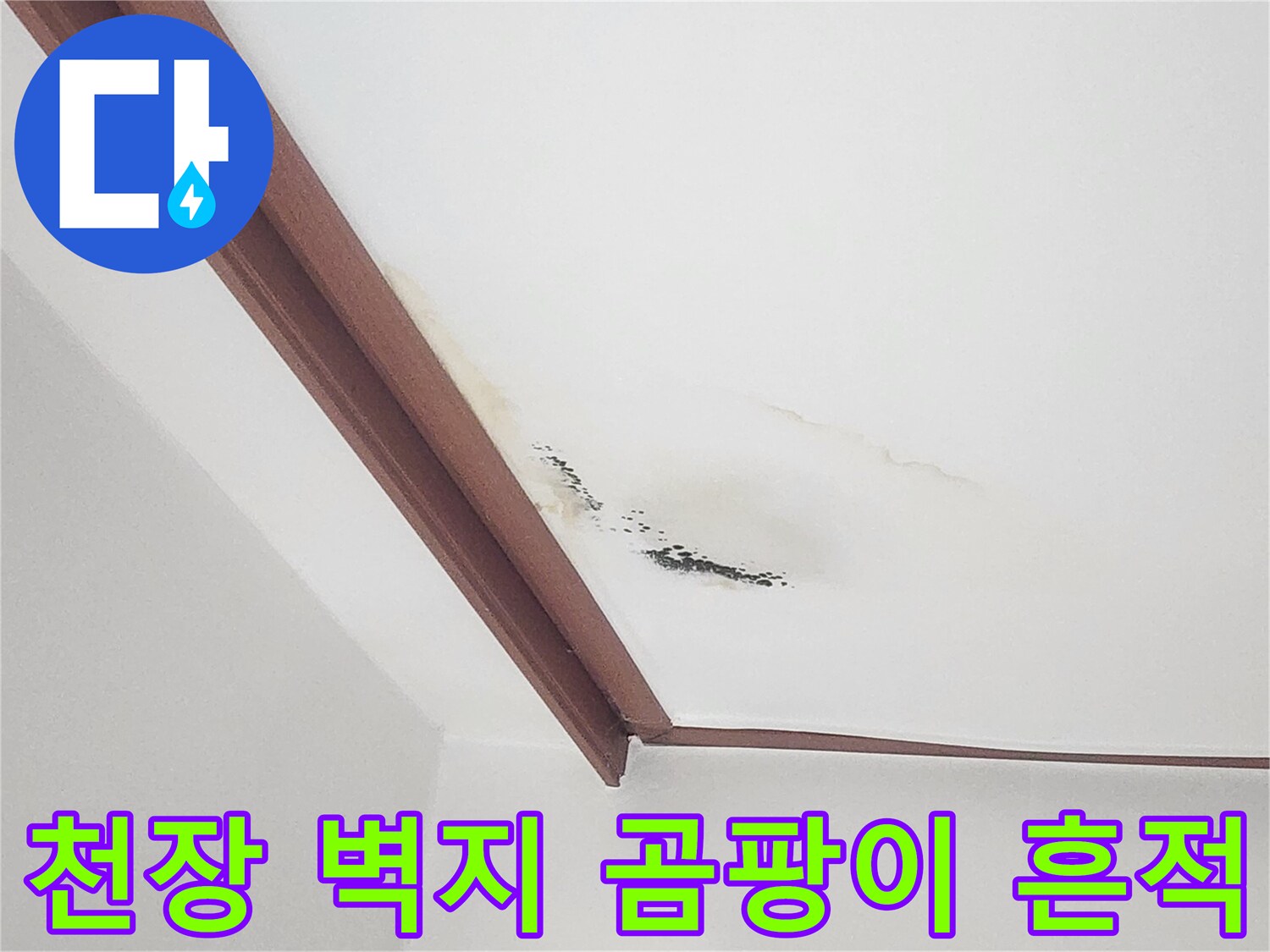 벽지 표면에 나타난 누수 피해 및 곰팡이 번짐 현상