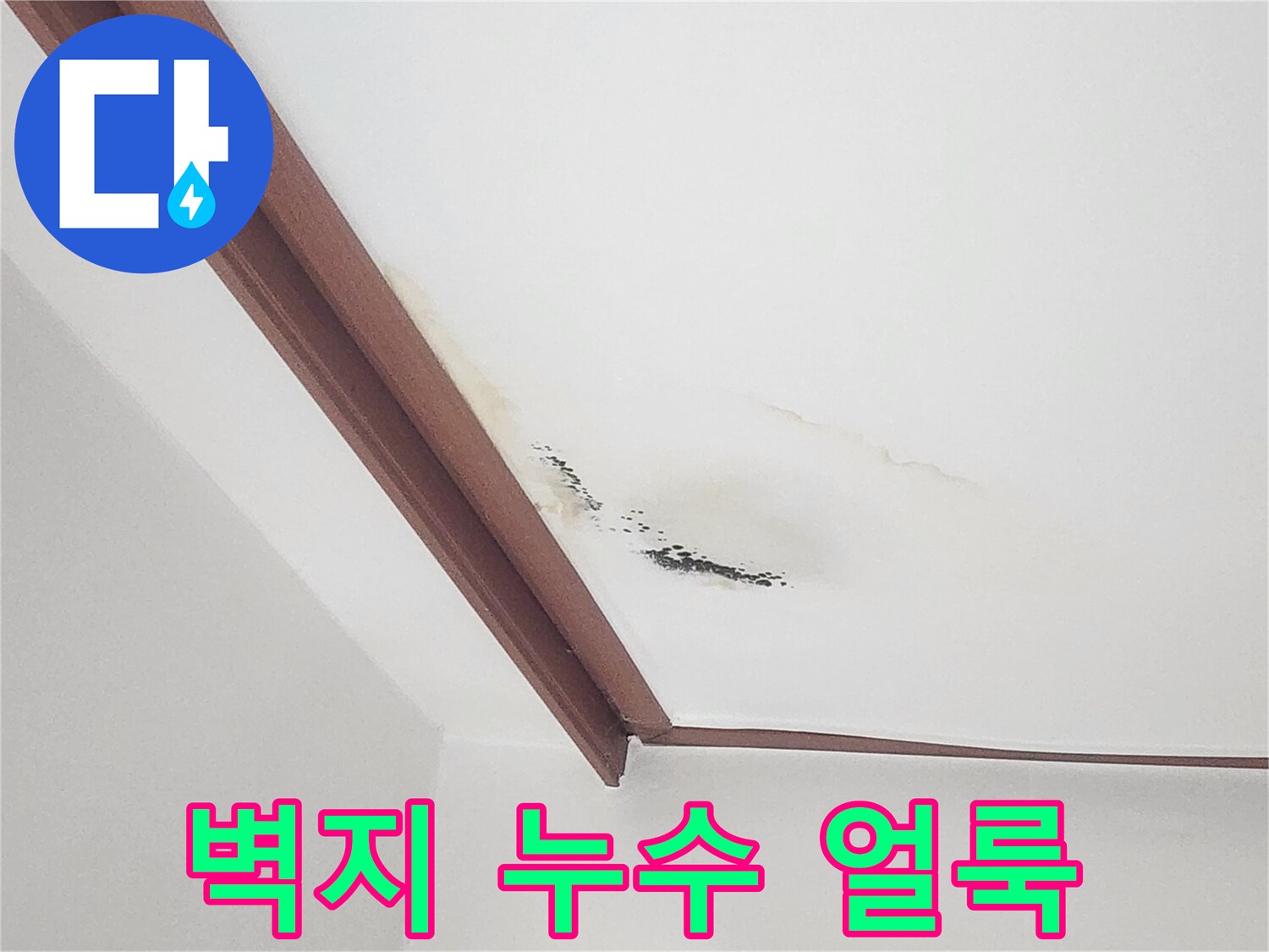 천장 몰딩 부근에 번져 있는 누수 흔적과 오염된 벽지