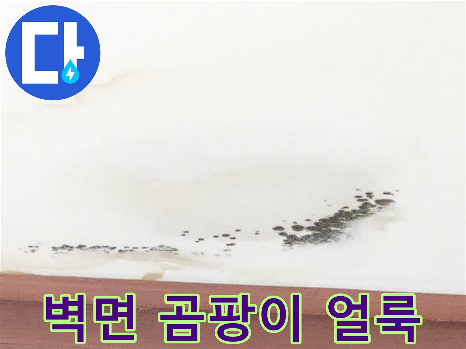 천장 몰딩 하단부의 물자국과 곰팡이 오염