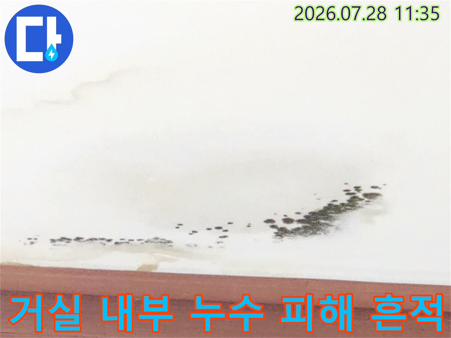 천장면과 벽면에 발생한 짙은 색의 물자국 및 곰팡이