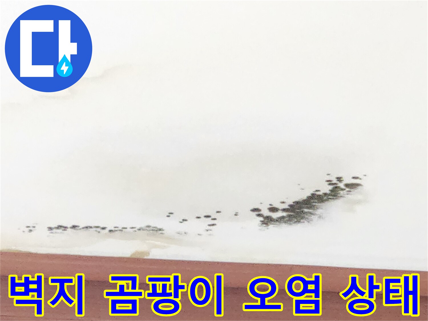 흰색 벽지에 나타난 누런 물기 흔적과 검은 곰팡이 분포