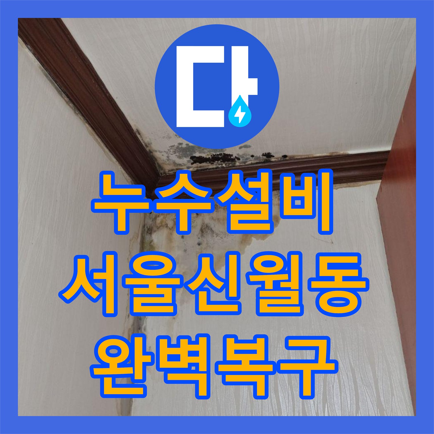 누수설비 천장 내부 배관 보수와 정밀 방수로 물샘을 잡은 서울 양천구 신월동 작업기