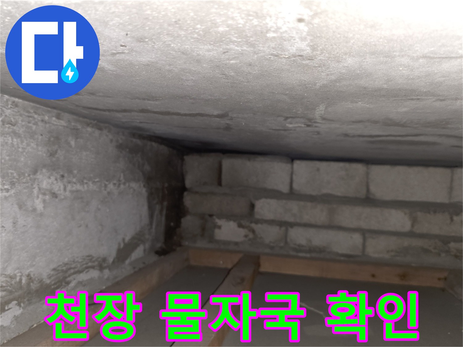 양천구-신월동-현장의-천장-물샘-흔적과-벽면-상태