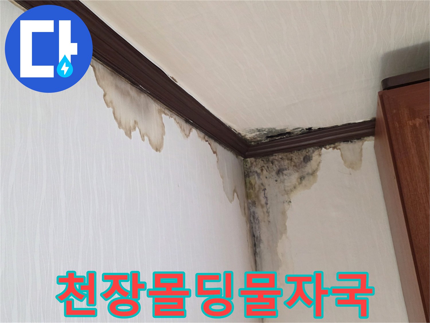 천장-몰딩-주변의-누수-흔적과-곰팡이-발생-상태