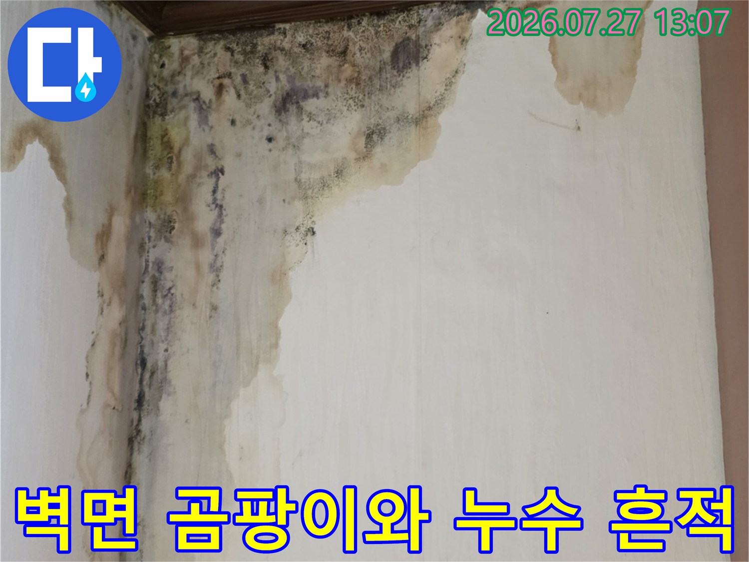 천장과 벽면 접합부에 발생한 검은색 곰팡이-누수로 인한 벽지 오염 상태
