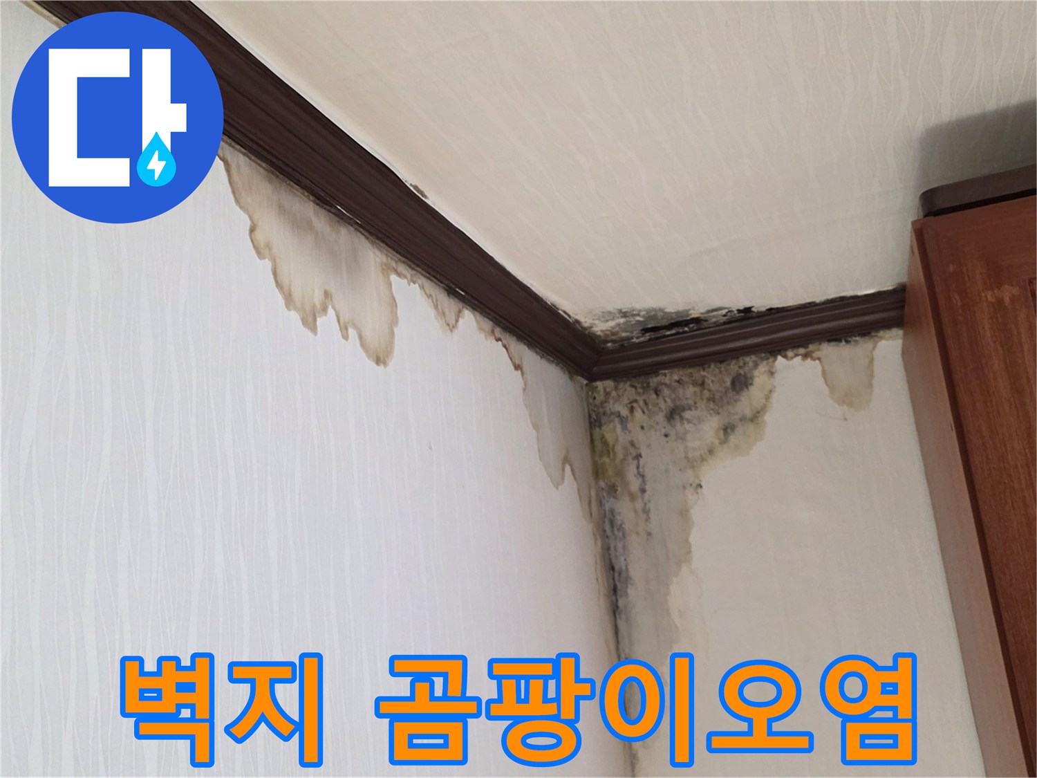 천장과 벽면 접합부의 심한 젖음 및 검은 곰팡이 발생 부위
