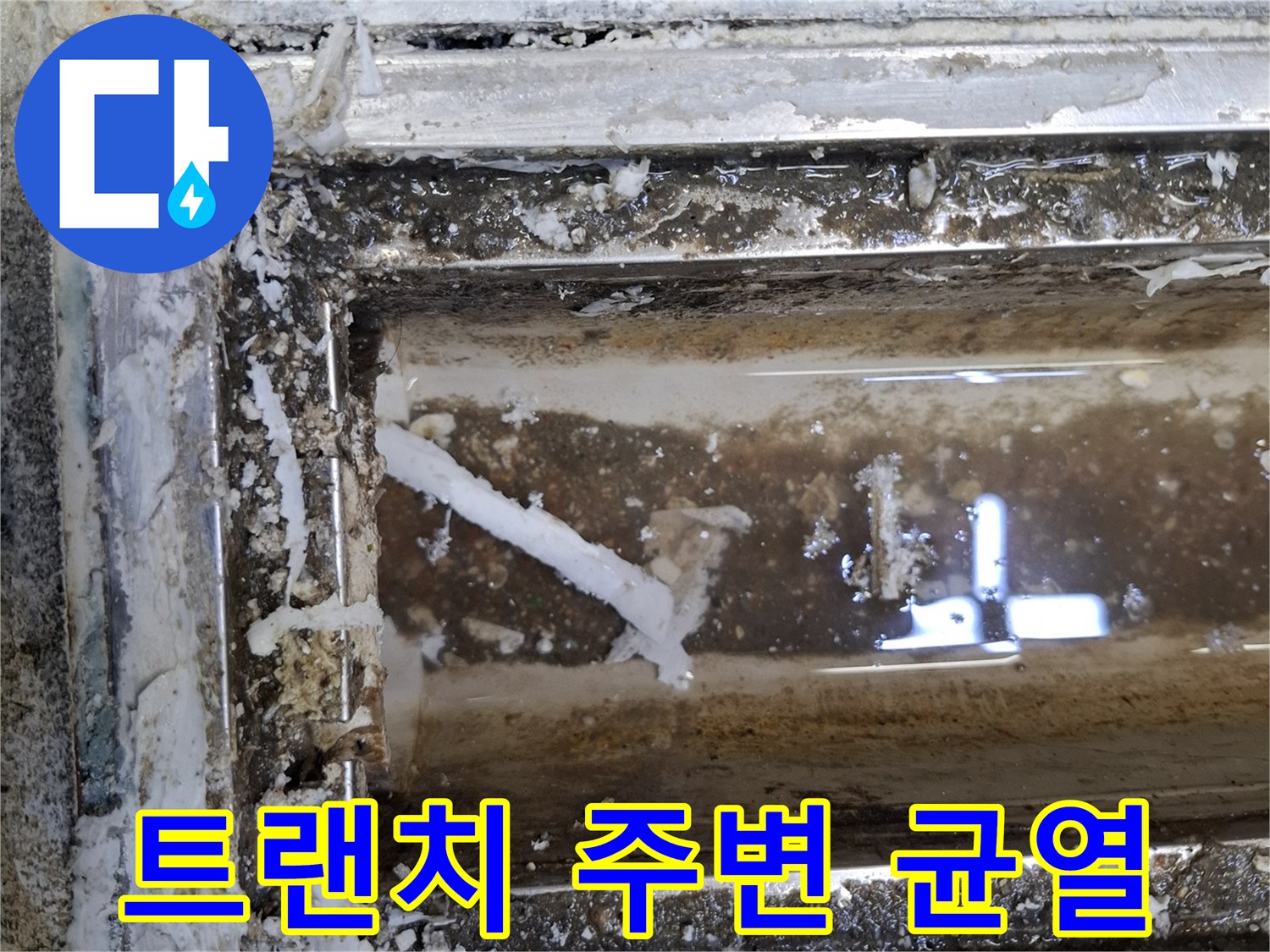 배수구 주변 틈새 - 방수층 파손으로 인한 누수 지점