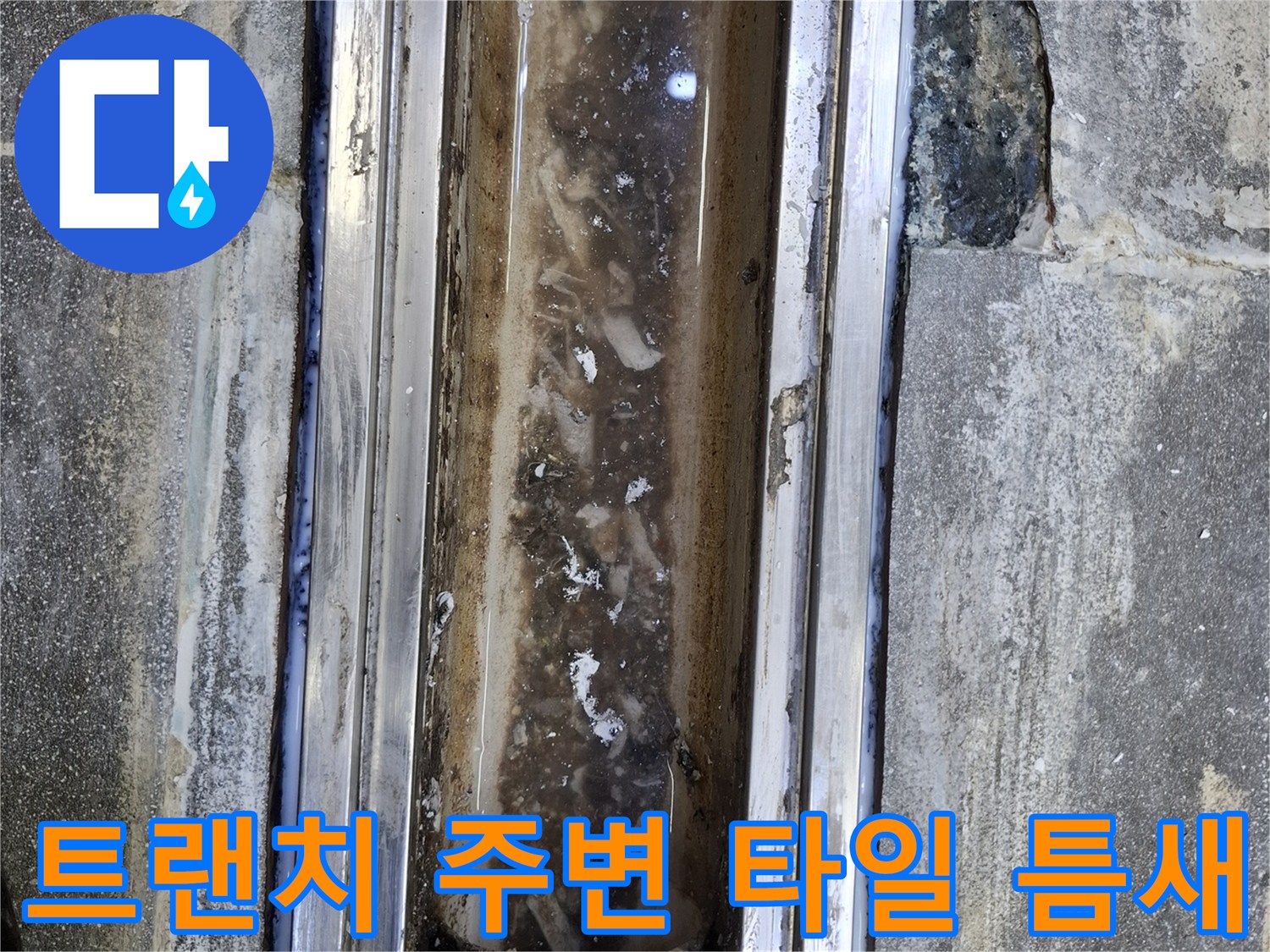 식당-배수구-프레임-및-타일-경계부-상태