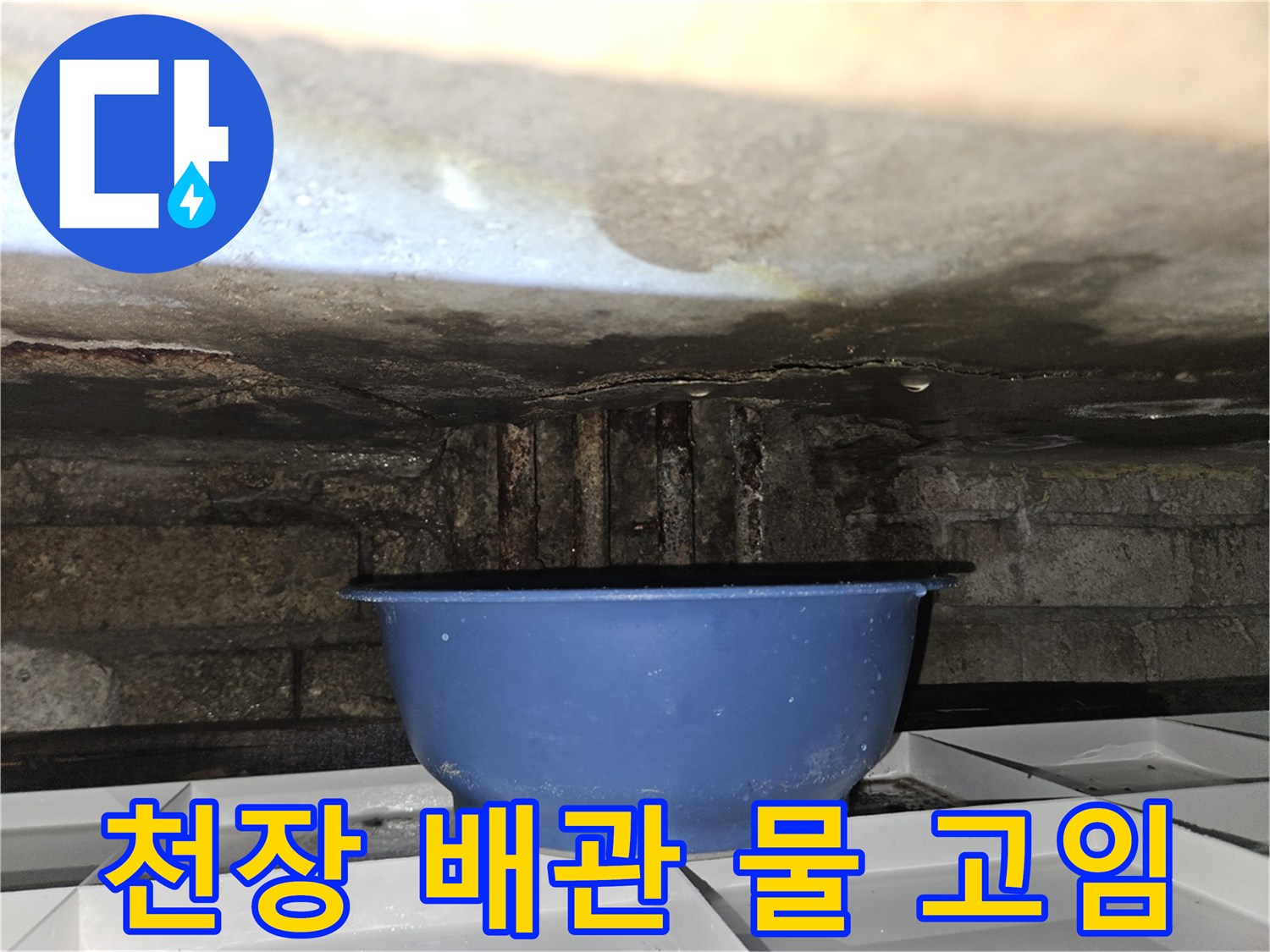 화장실-천장-내부-물고임-및-낙수-상태