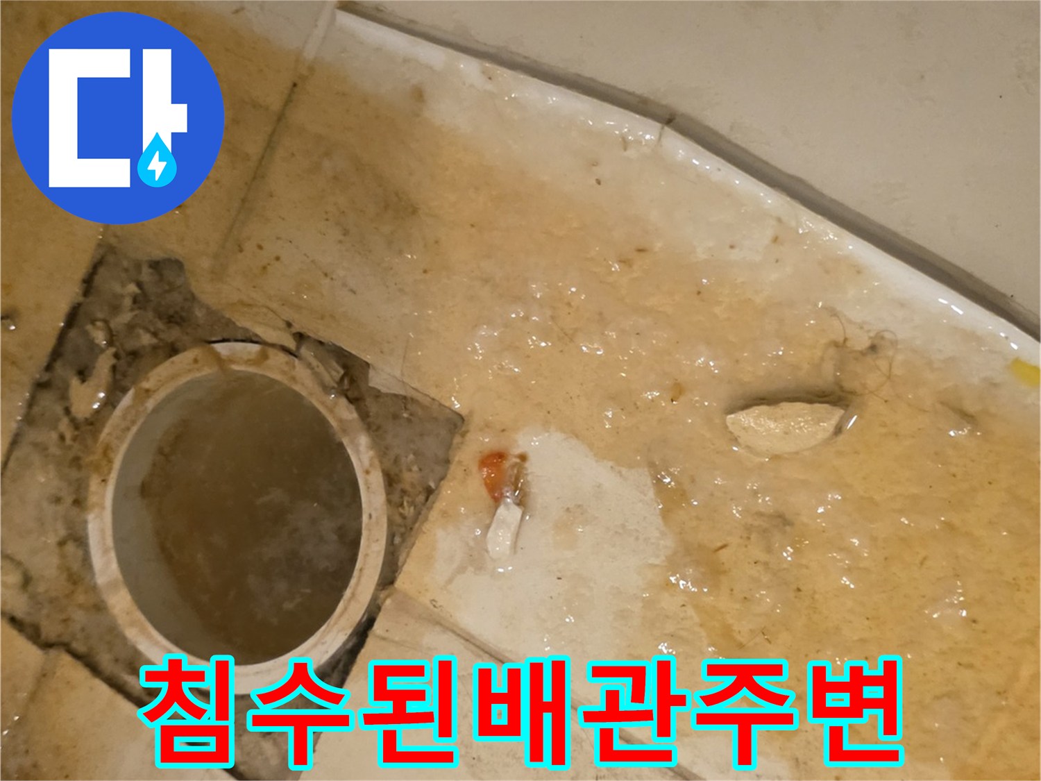 오수가-차올라-지저분해진-배관-주변-타일