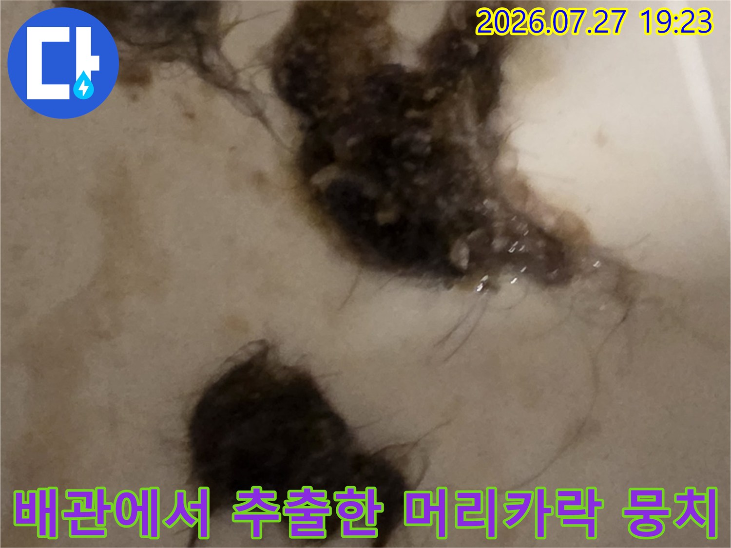 오수관 내부에서 샤프트 장비로 끌어올린-검은색 머리카락과 이물질 덩어리들