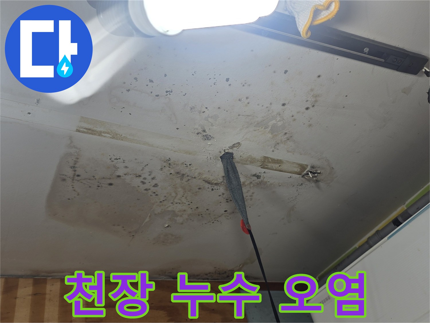 누수로 인해 훼손된 천장 마감재와 곰팡이 사진