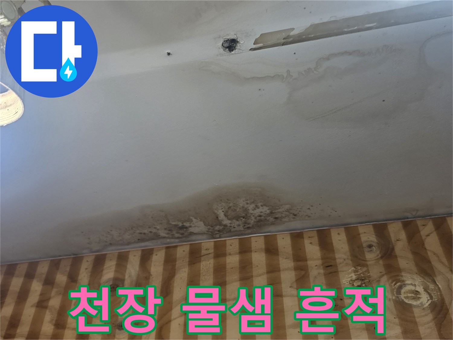 송파구 상가주택-1층 천장 얼룩 및 곰팡이 발생 상태