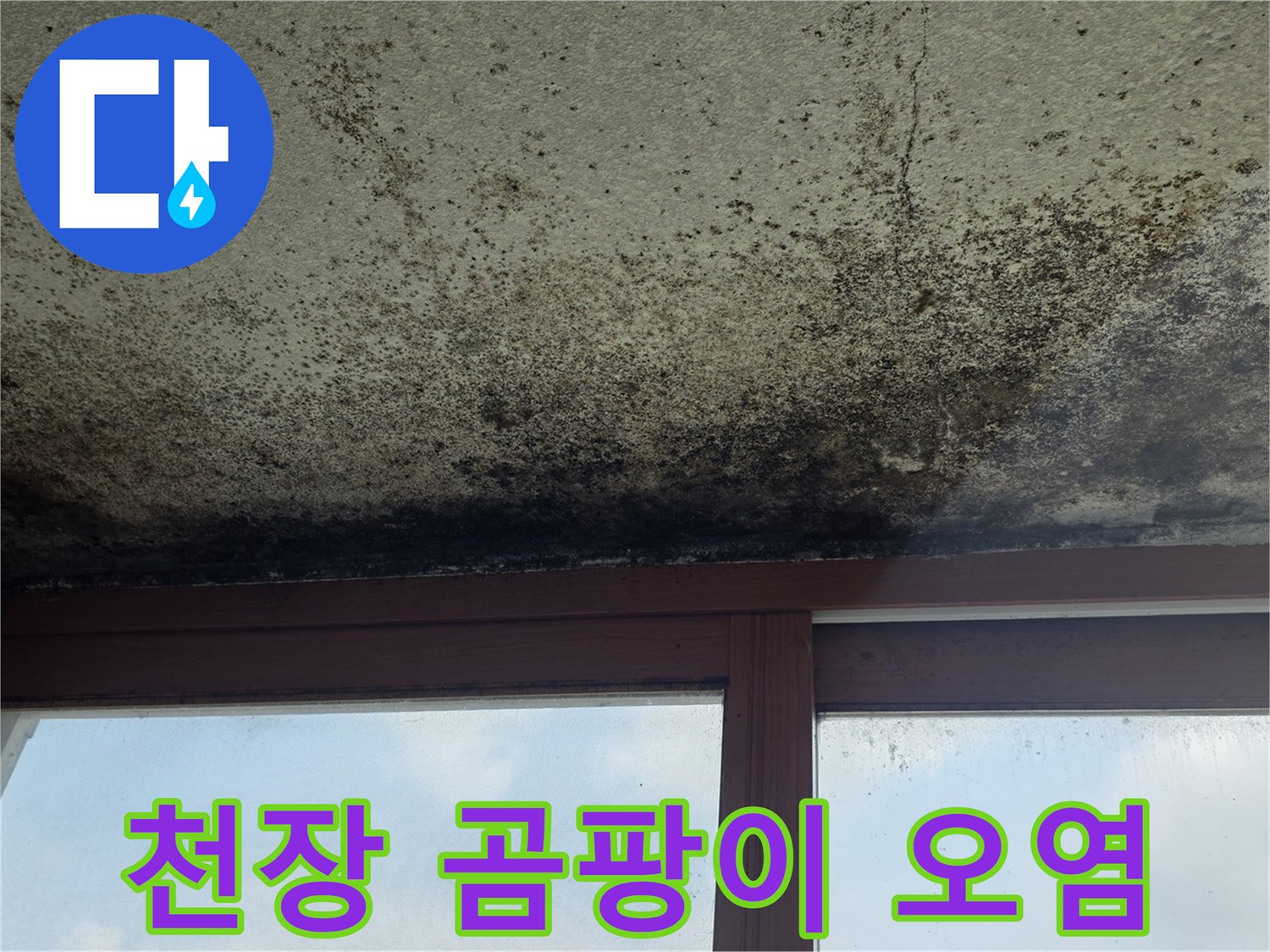 검은색-곰팡이가-번진-아파트-천장-표면-상태