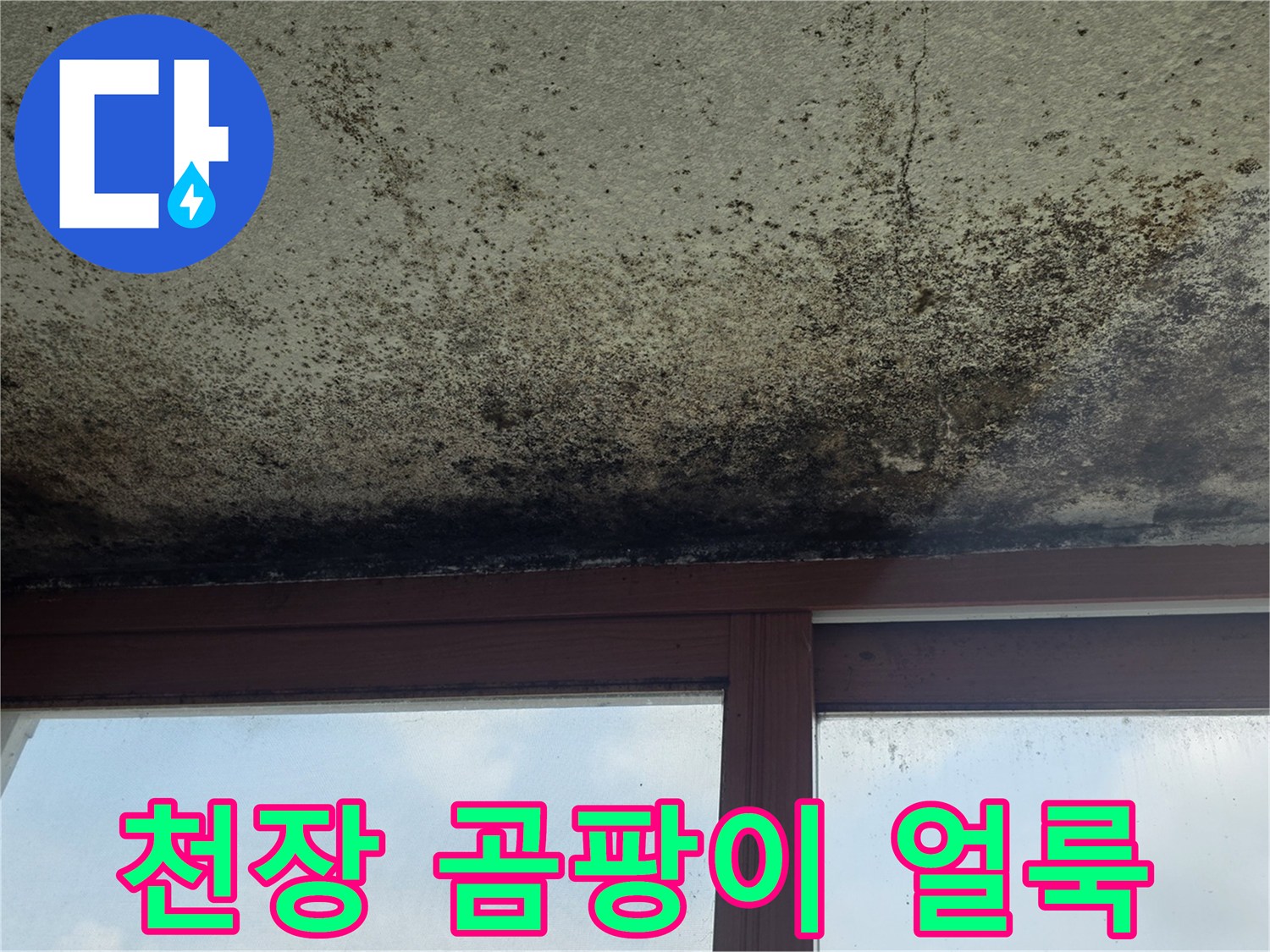 아파트-천장-표면에-발생한-검은색-곰팡이와-습기-흔적