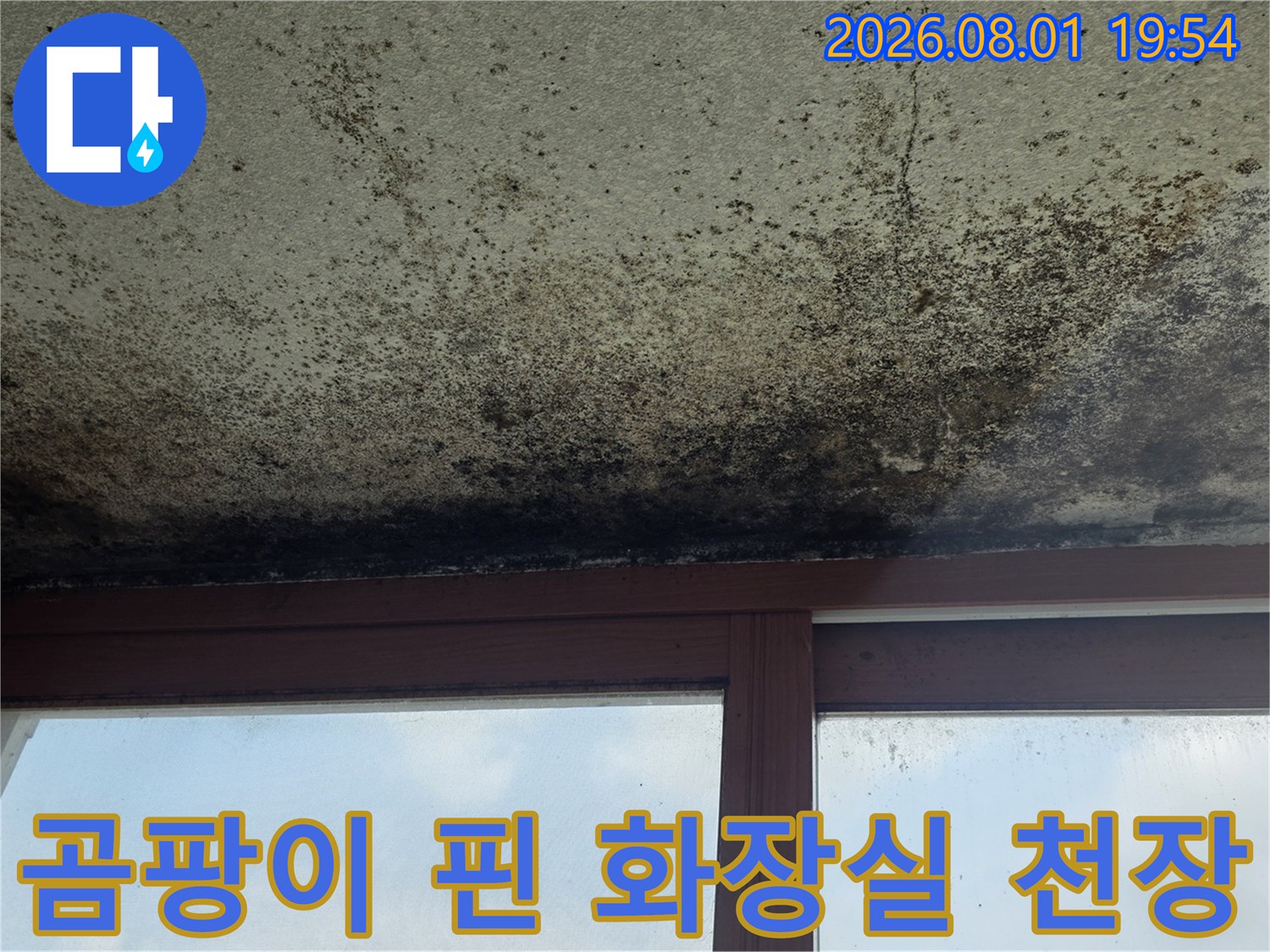 천장 마감재에 넓게 퍼진 검은색 누수 흔적과 곰팡이