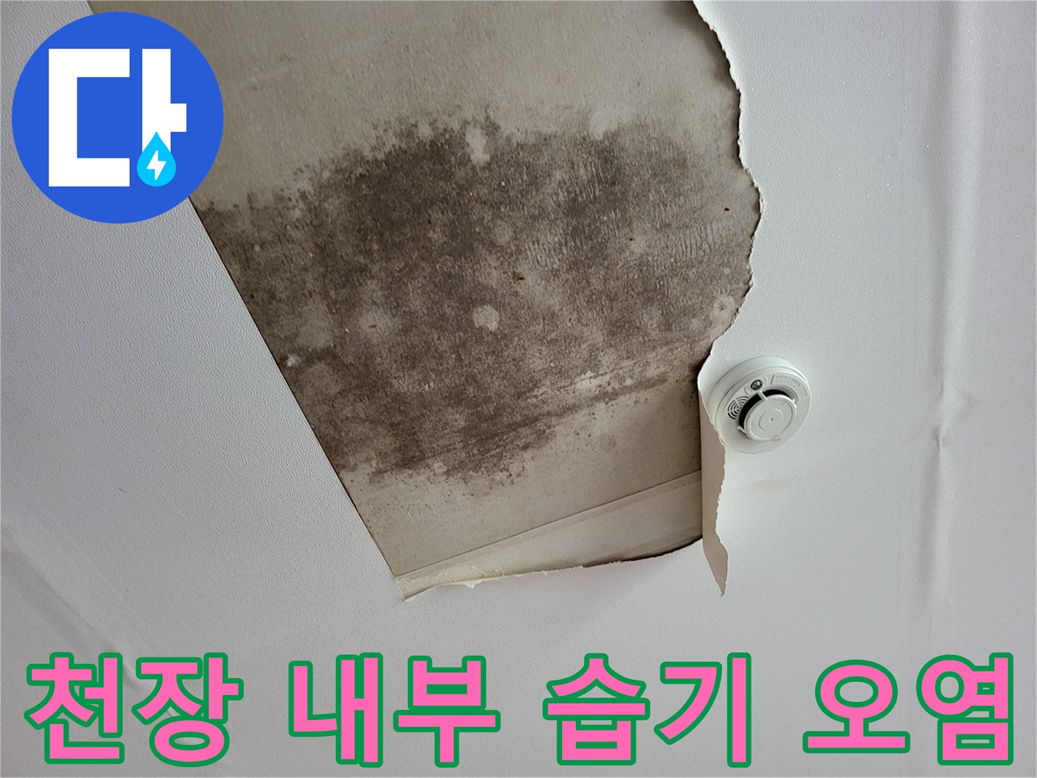 곰팡이가 발생하여 변색된 천장 마감재 표면
