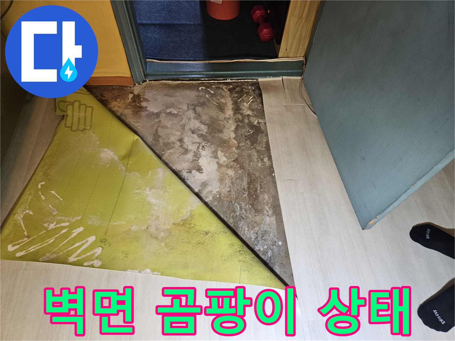 벽지 내부의 곰팡이와 오염된 벽체 모습