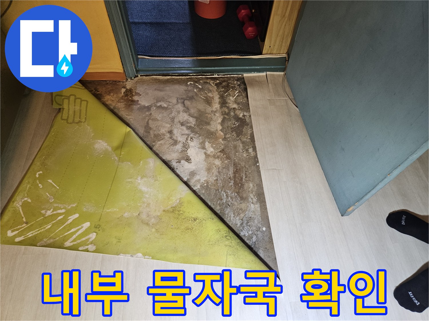 벽지 안쪽의 젖은 벽면과 오염 부위