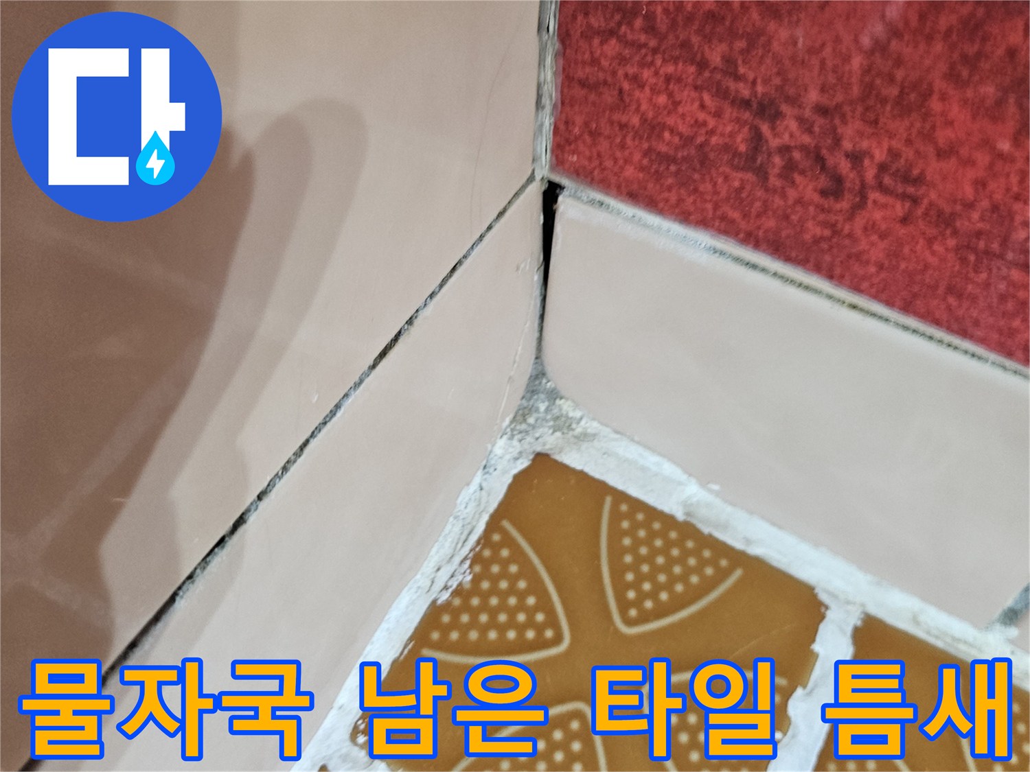 어둡게 변한 타일 경계선 - 지속적인 누수 흔적 노출