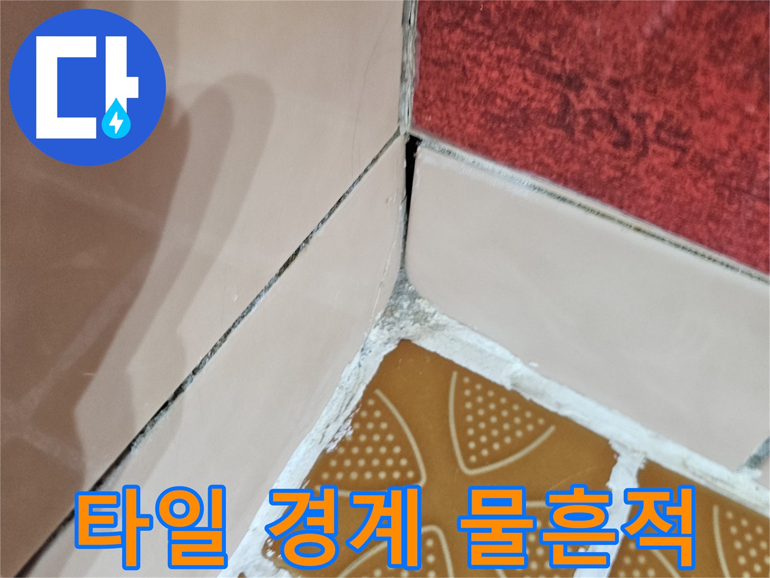 타일 접합부 근처에 발생한 어두운색의 습윤 흔적