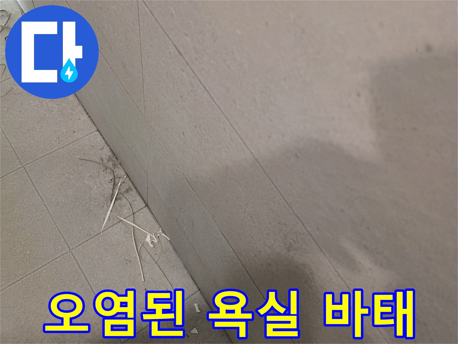 욕실 바닥과 벽면 경계-누수로 인한 곰팡이 오염 현장