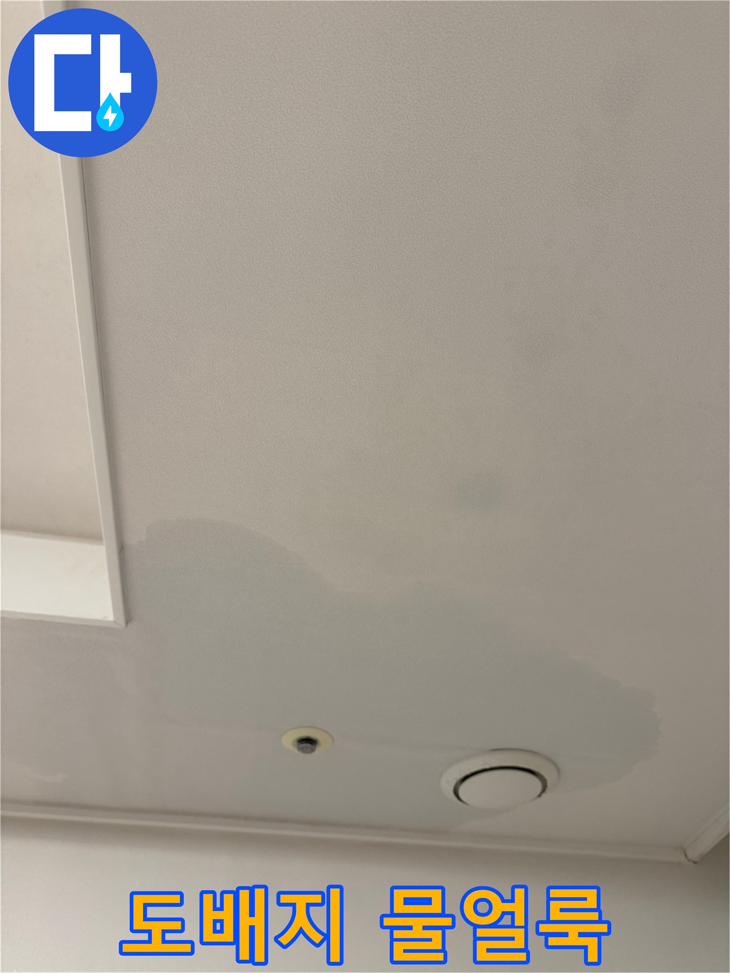 천장 도배지가 젖어서 어둡게 변색된 사진