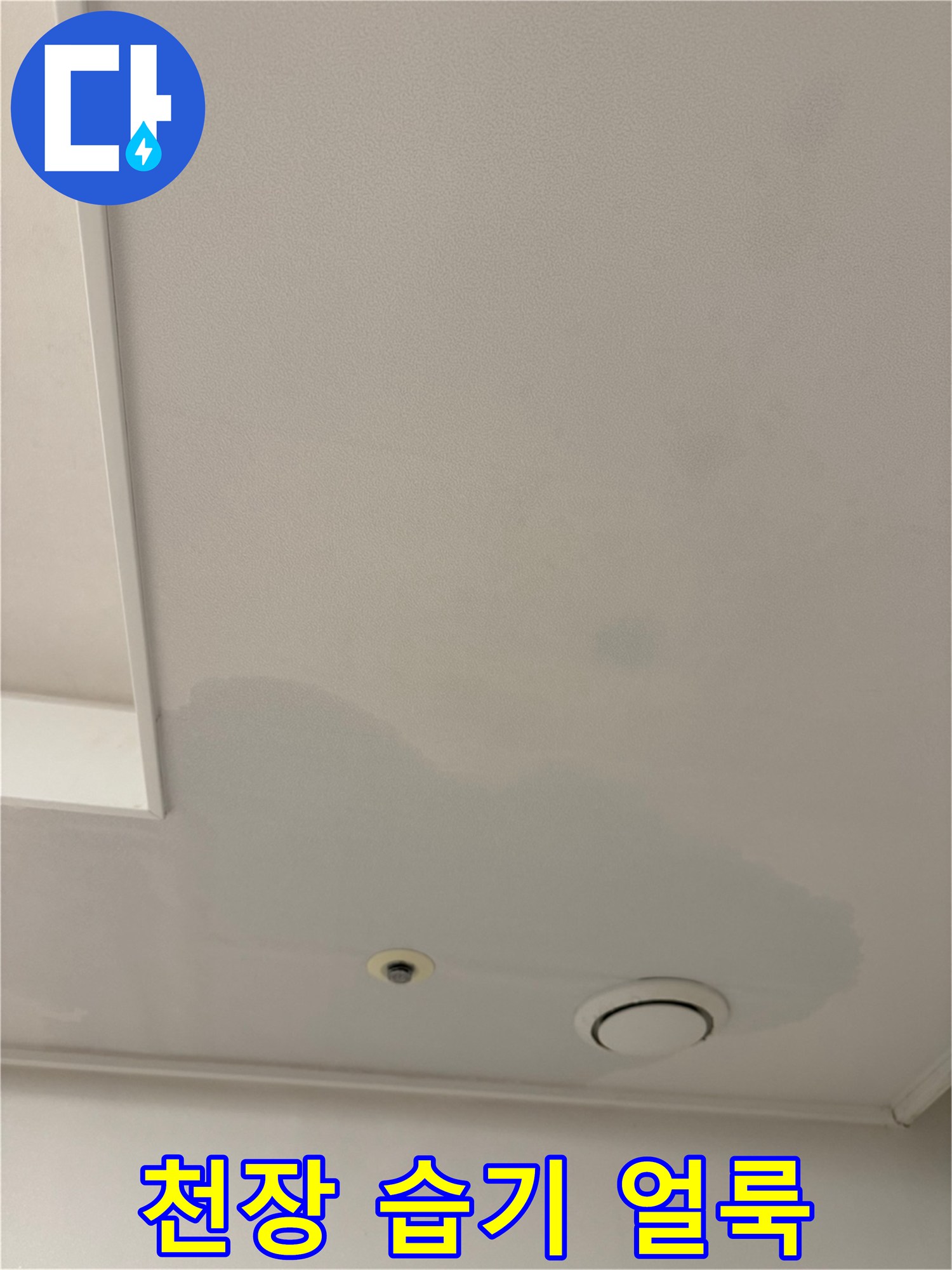 천장 마감재 부근의 젖은 도배지 상태 확인
