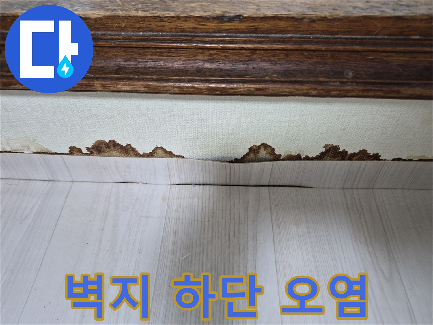나무 몰딩과 벽지가 만나는 지점의 곰팡이 자국