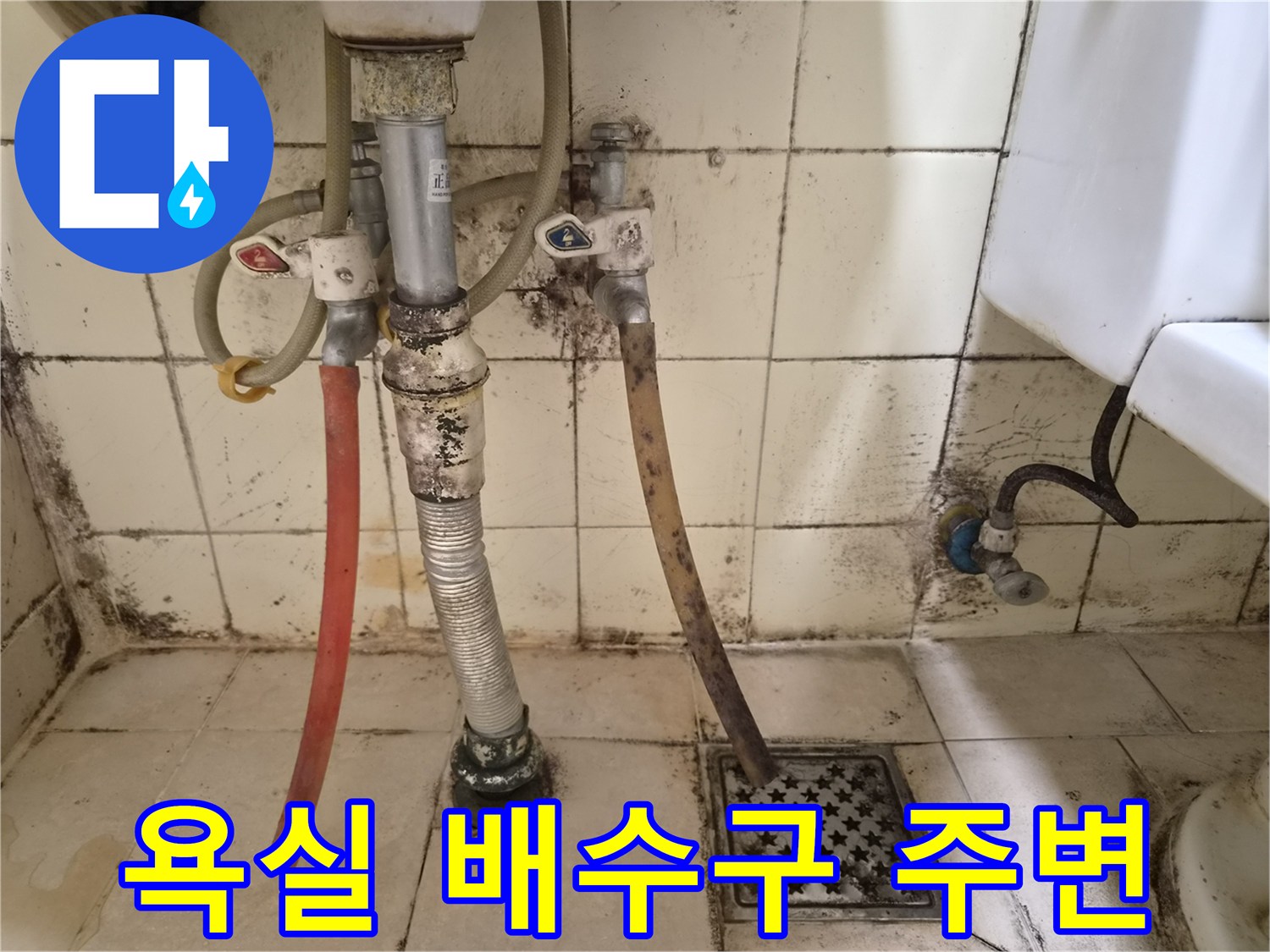 습기로 인해 변색된 욕실 타일과 노후된 배수관 연결 부위