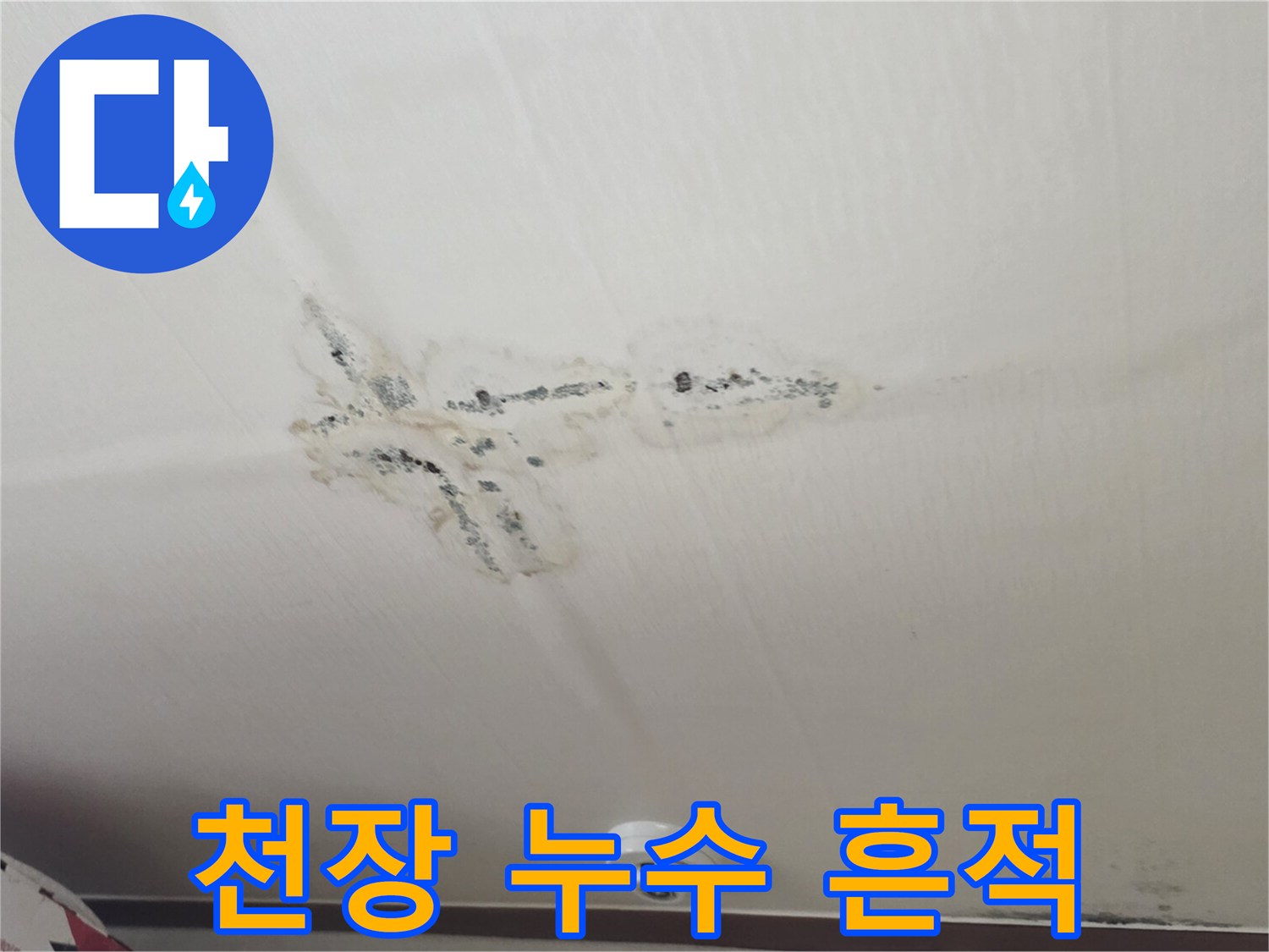 구MS 원룸 천장-습기로 인한 벽지 변색과 곰팡이