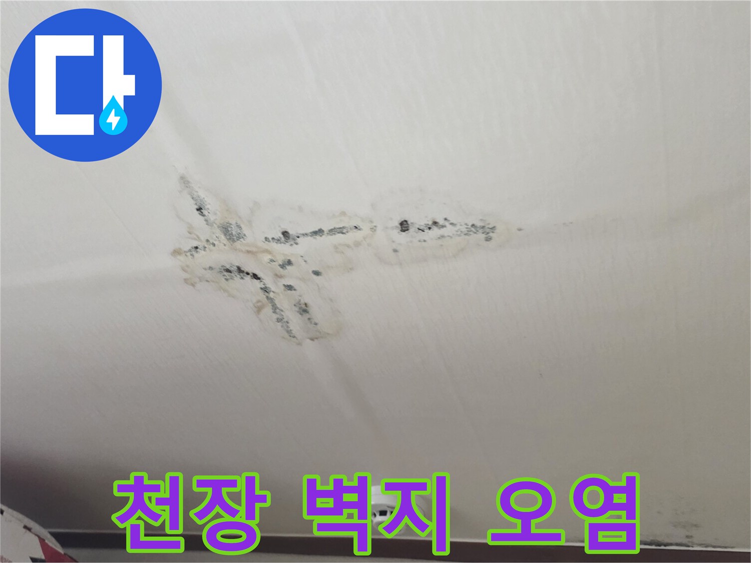 구미동 원룸 천장-습기로 인한 곰팡이와 물자국