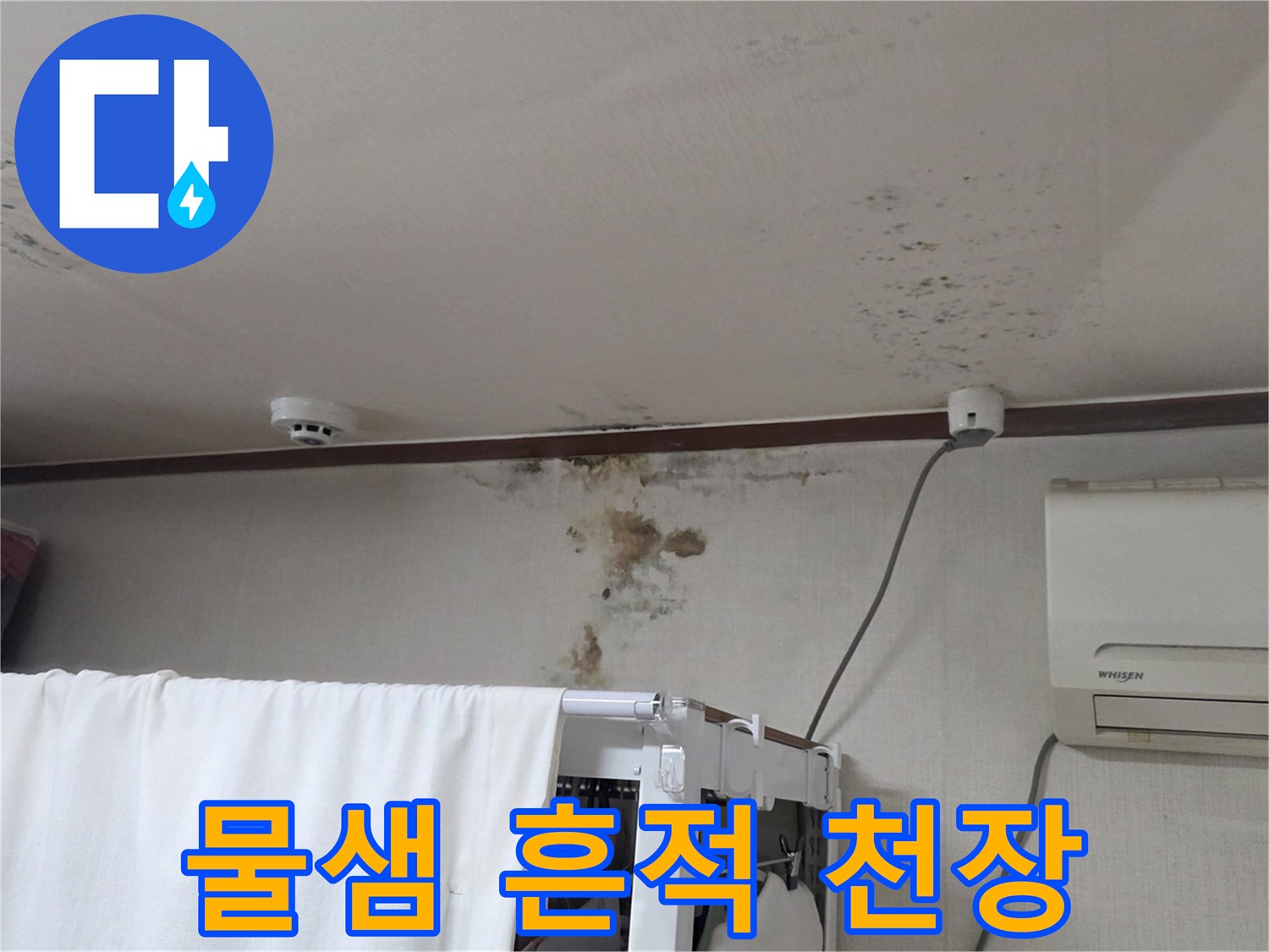 누수로 인해 변색된 천장 벽지와 곰팡이 발생 부위