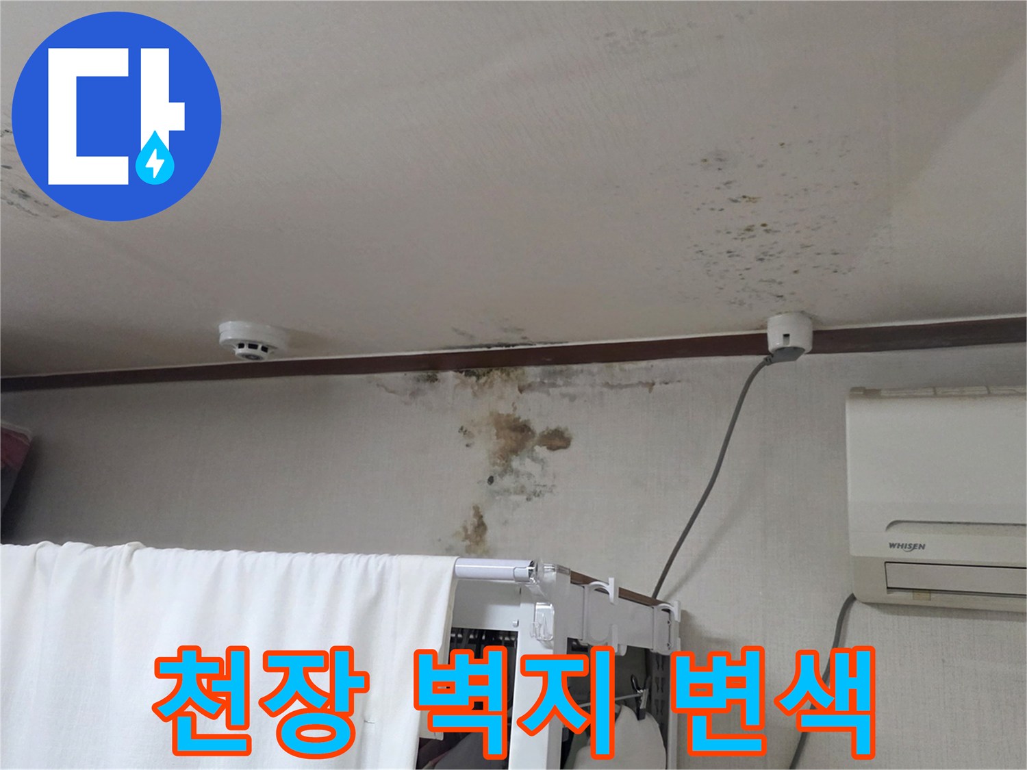 천장 면적에 넓게 퍼진 누수 오염과 곰팡이 흔적
