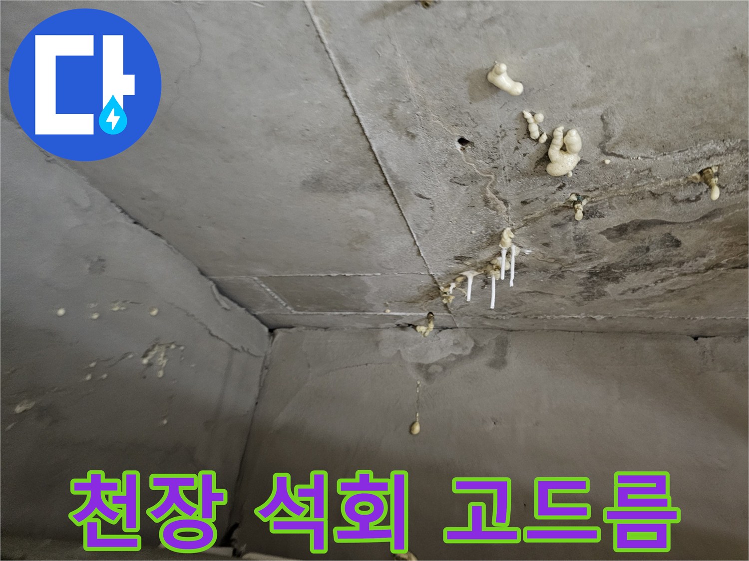화장실 천장 슬래브에 형성된 하얀색 석회 고드름 현상