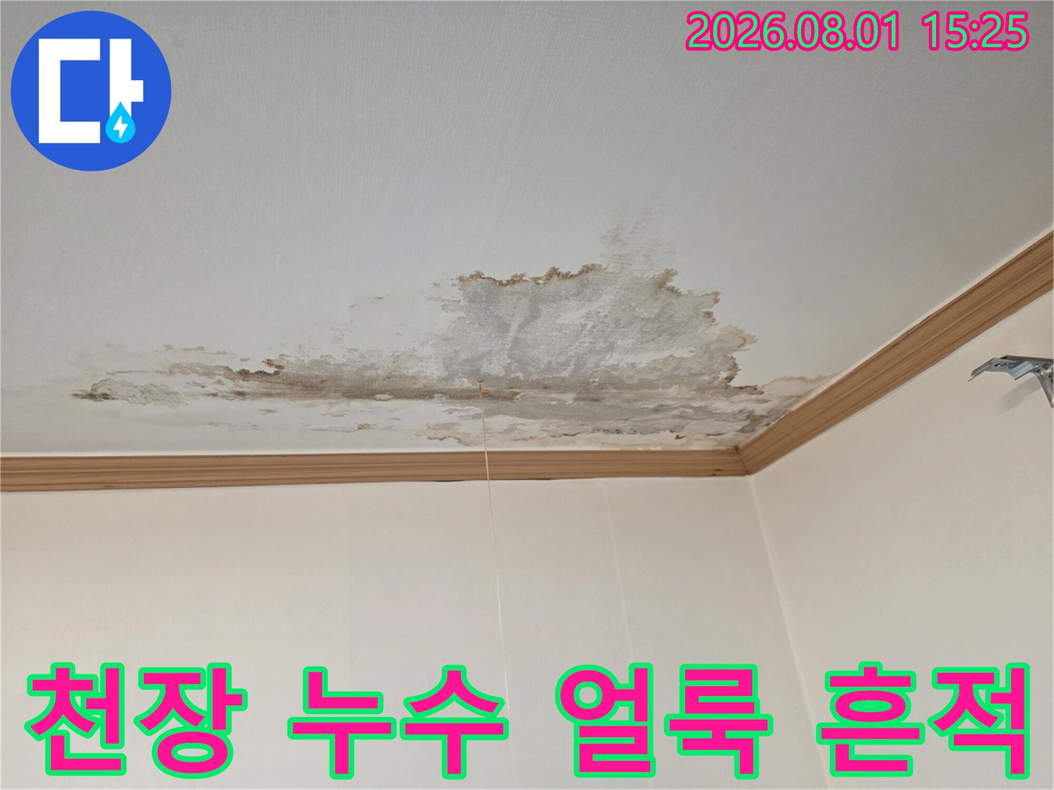 천장 벽지에 발생한 누수 오염과 습기 흔적