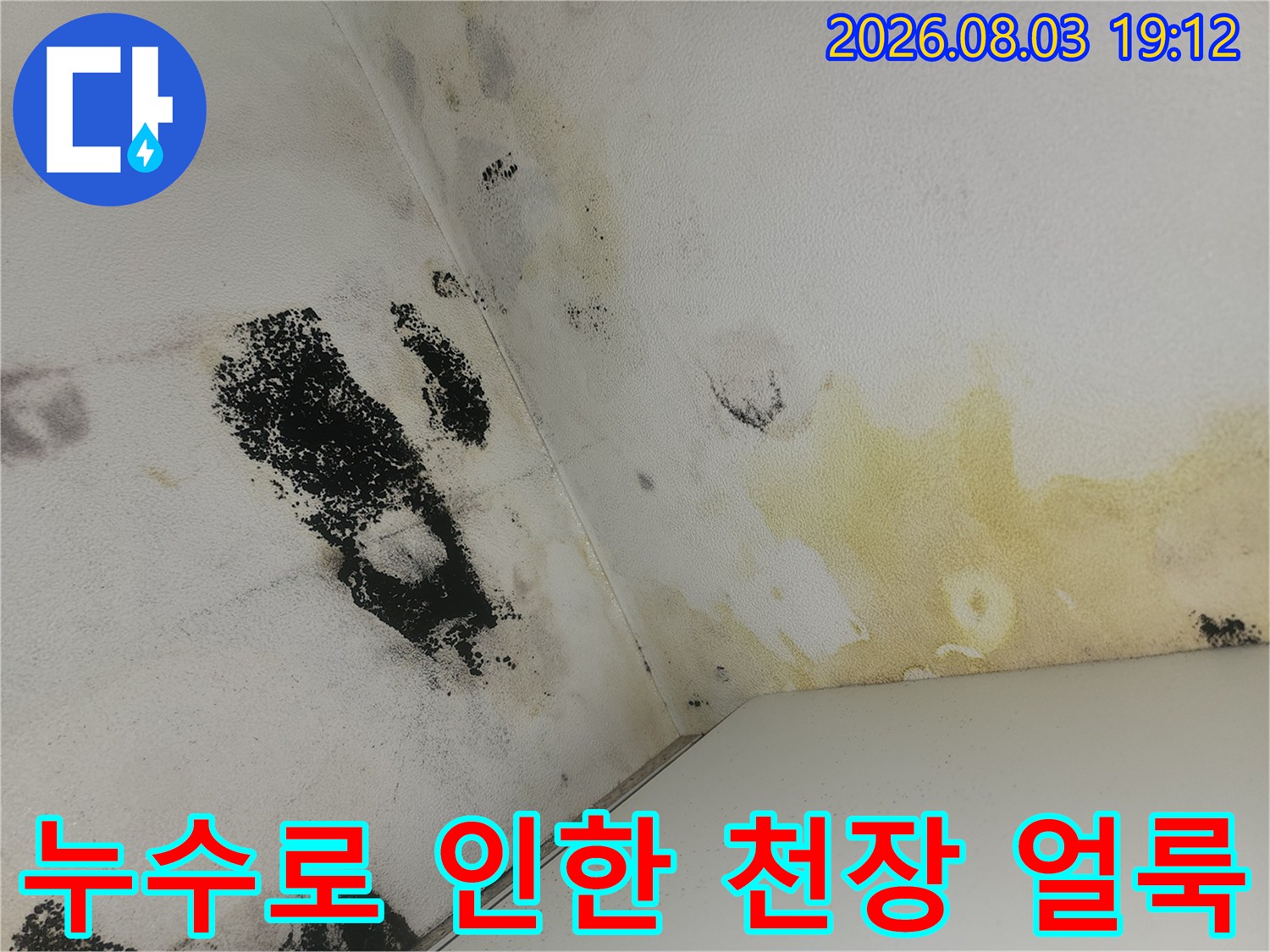 화장실 배관 주변 누수 흔적과 곰팡이 발생 지점