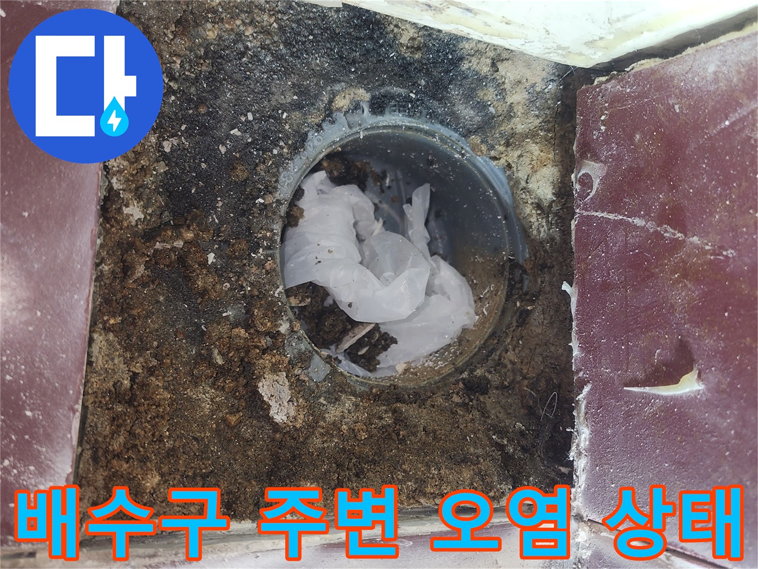 화장실-배수구-유가-주변의-오염과-틈새 확인