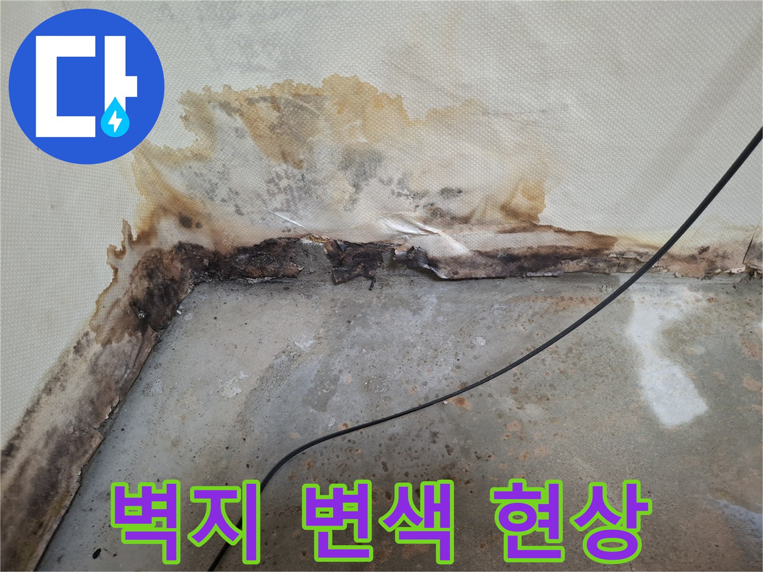 누수로 인한-벽면 하단부 곰팡이 및 오염 부위