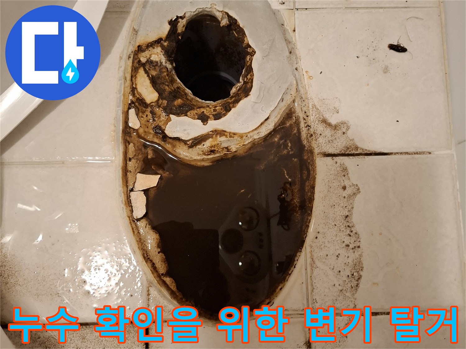 변기 제거 후 노출된 오수관 주변의 심각한 누수 흔적