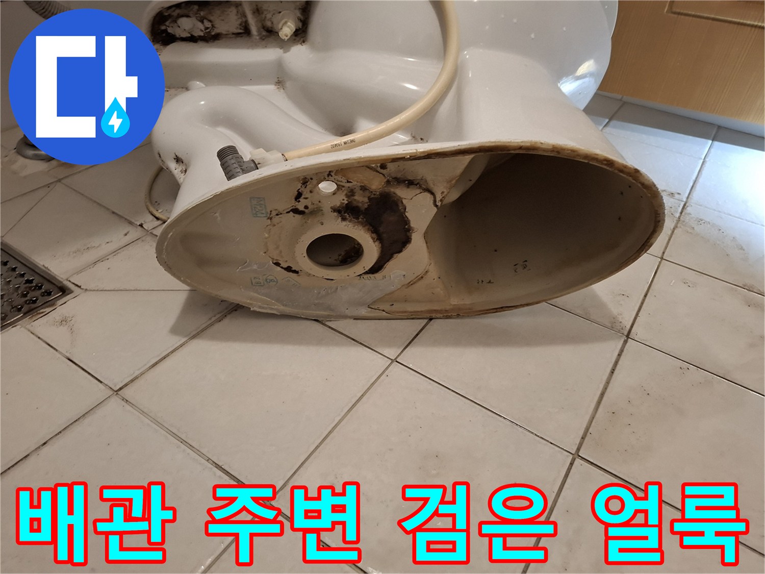 변기 하단 배관 입구 주변의 심한 오염과 흔적