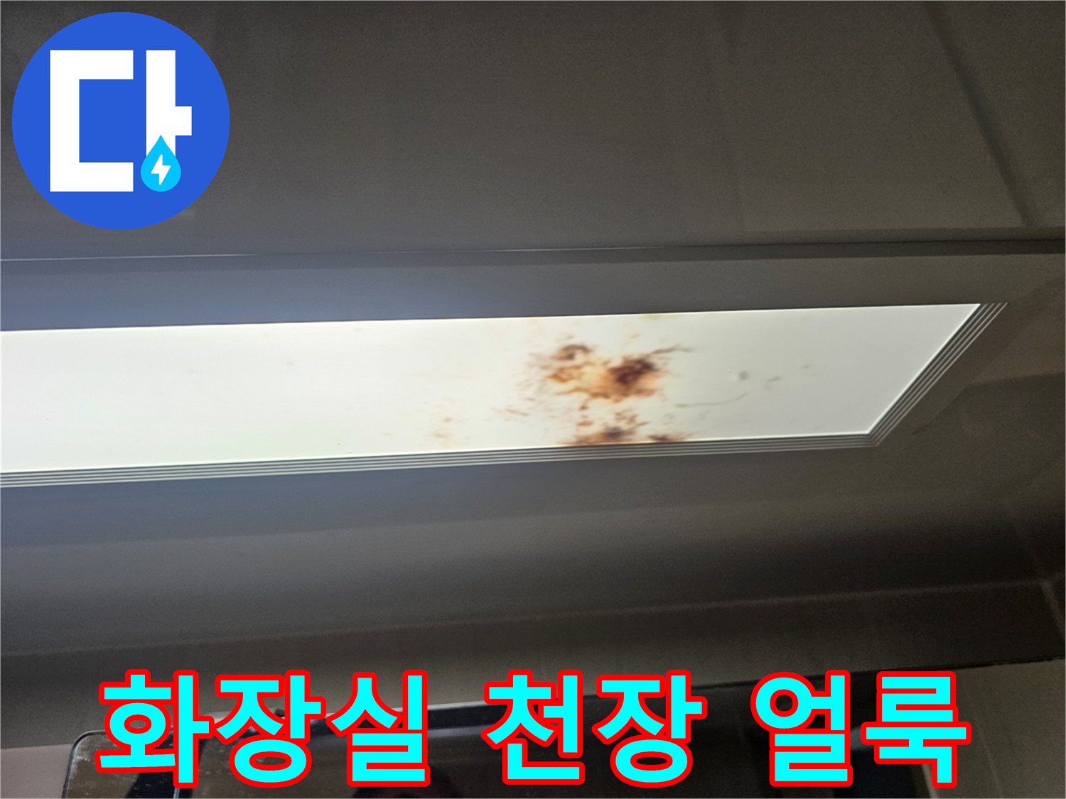 남양주-화장실-천장-점검구-내부-누수-얼룩-상태