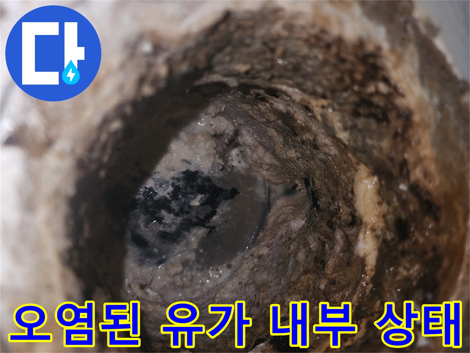 이물질과 습기가 가득한 화장실 배수구 안쪽 모습입니다.
