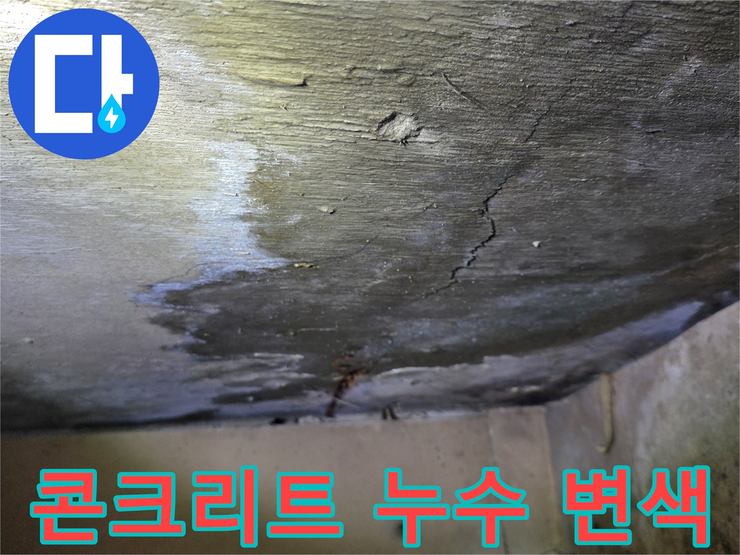 물기에-젖어-변색된-천장-콘크리트-면
