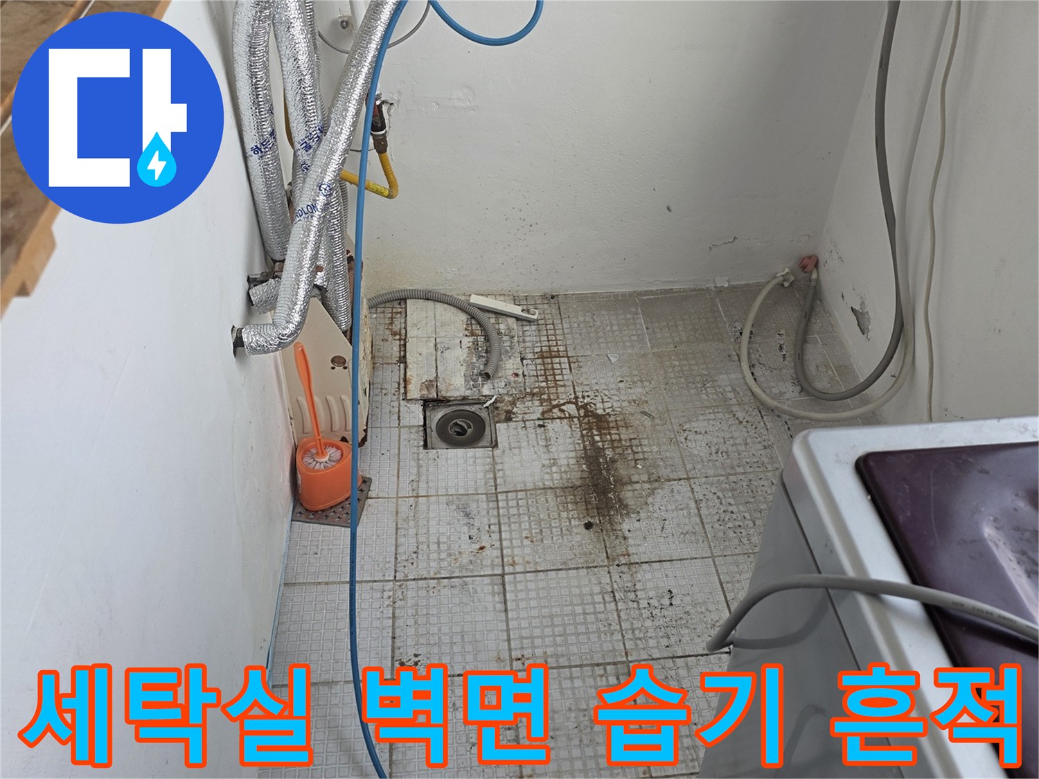 세탁실-벽면-습기-및-오염-상태