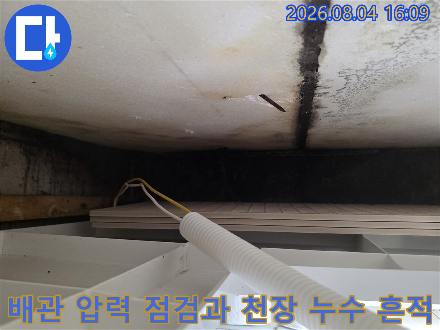 천장 얼룩 위로 연결된 배관에 공압 테스트 장비를 연결하여 점검하는 모습