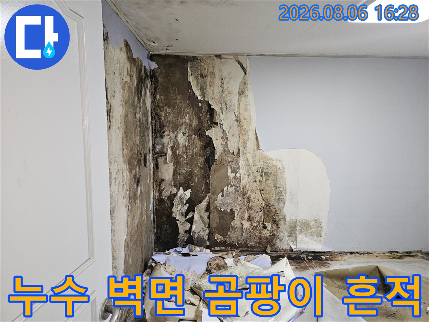 누수가 발생한 현장의-벽면 콘크리트와 벗겨진 벽지 모습입니다.