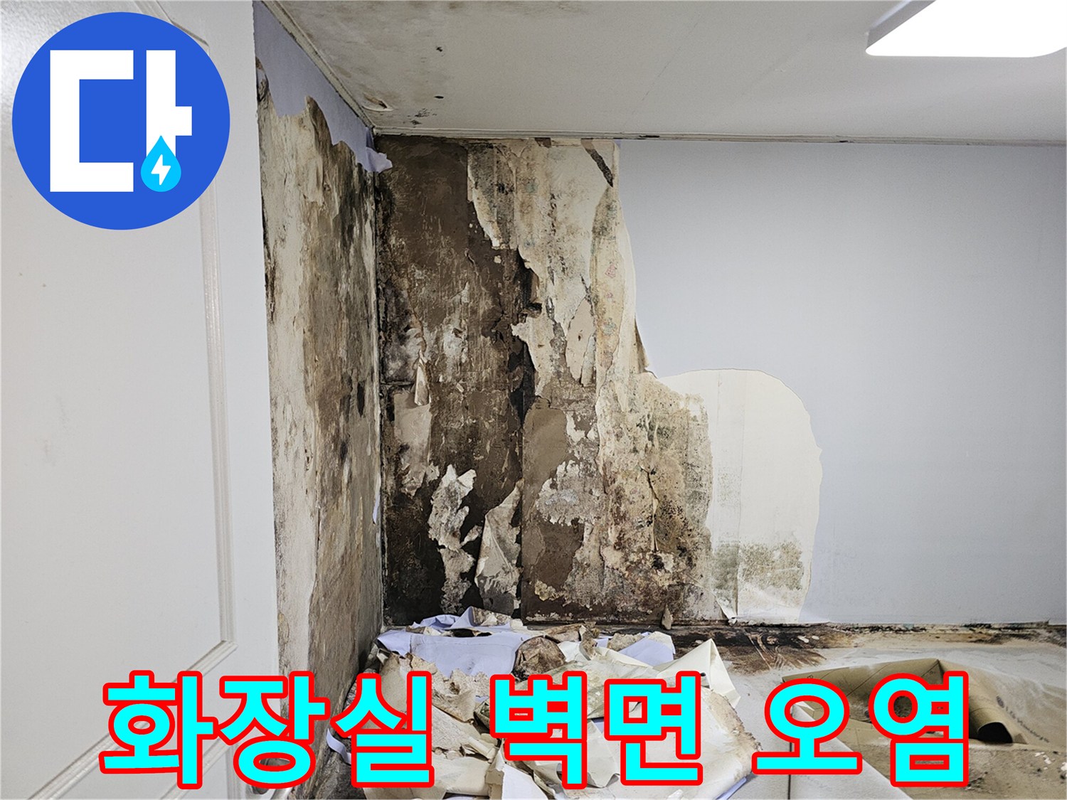 도봉구 아파트 화장실 내부-벽면 곰팡이 및 오염 상태