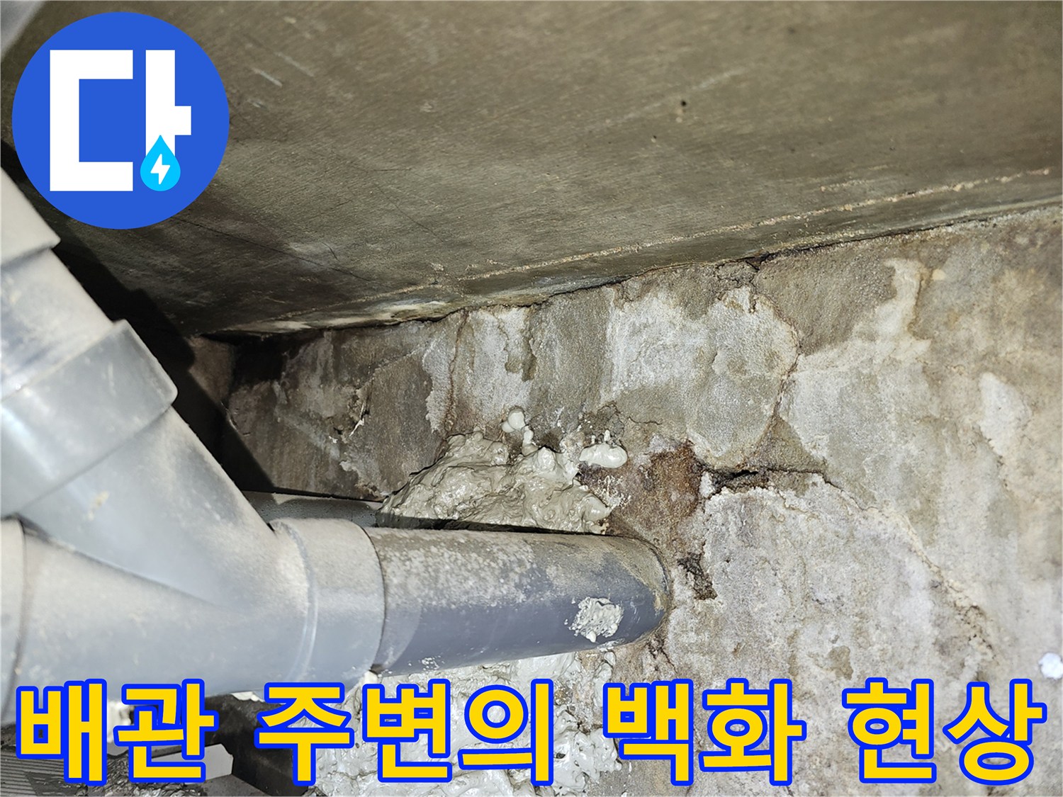 축축하게-젖은-천장-배관-주변-상태